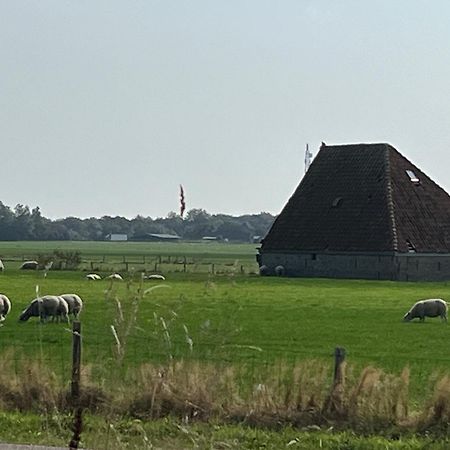 Gastsuite Het Duinroosje Met Hottub Op Het Prive Terras! Den Burg Buitenkant foto