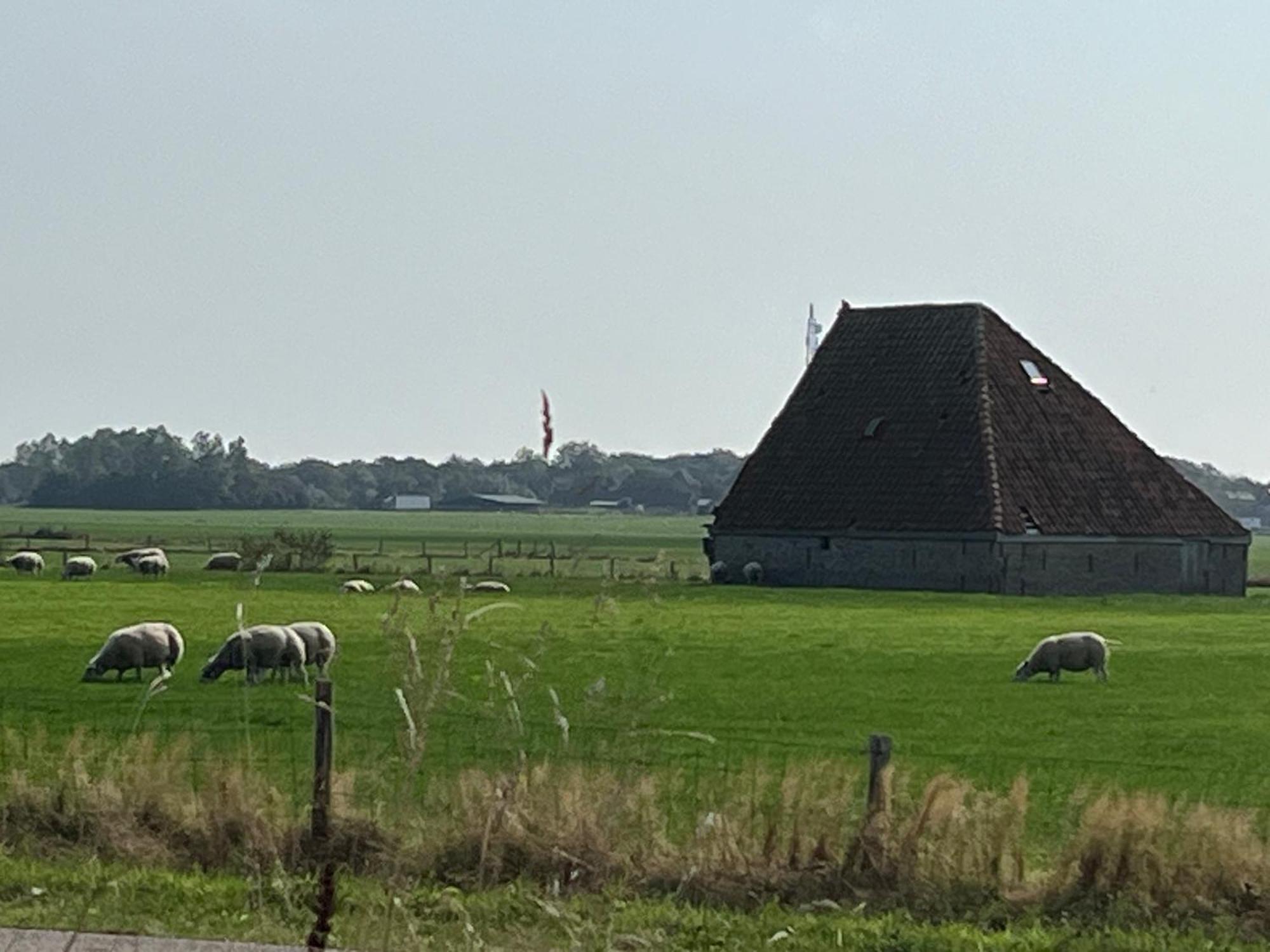 Gastsuite Het Duinroosje Met Hottub Op Het Prive Terras! Den Burg Buitenkant foto
